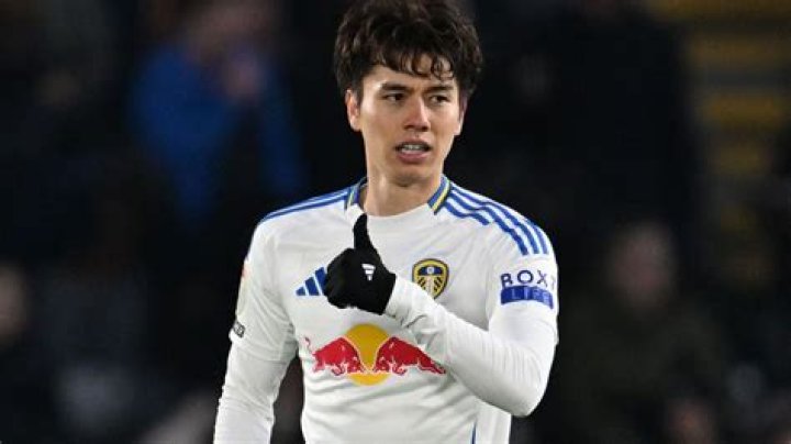 Ao Tanaka Bio, Age, Net Worth, Salary, Market Value, Stats, Transfer, & Relationship