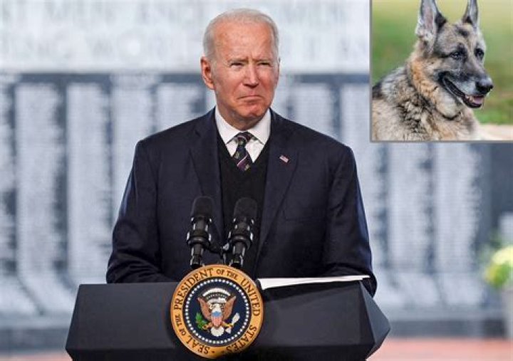 The Sweet Way the Bidens' First Dog Champ Biden Will Live on