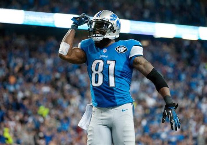 Calvin JohnsonCalvin Johnson Bio - married, affair, divorce, spouse, salary, net worth