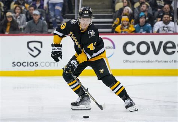 Danton Heinen Biography-salary, net worth, married, affair, dating, children, career, bio, relationship, age, girlfriend, stats, contracts