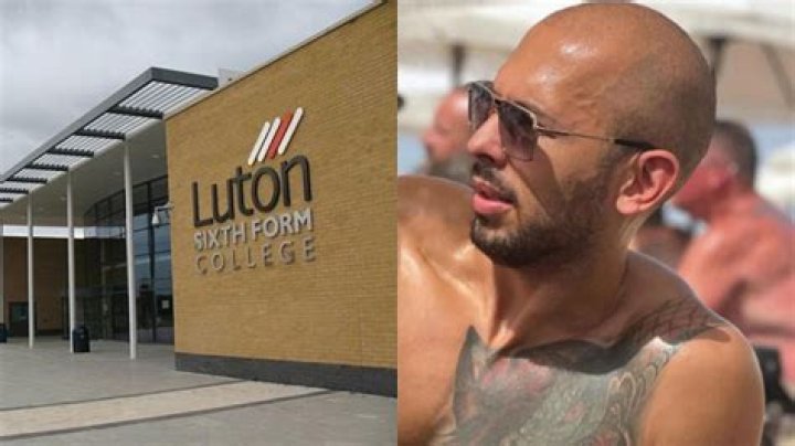 Did Lauren London Go To College? Life Story Revealed