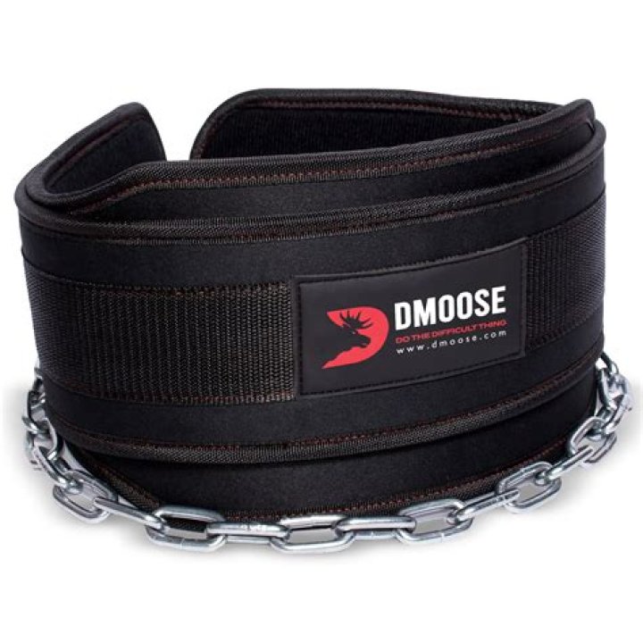 DMoose Fitness Premium Dip Belt Review