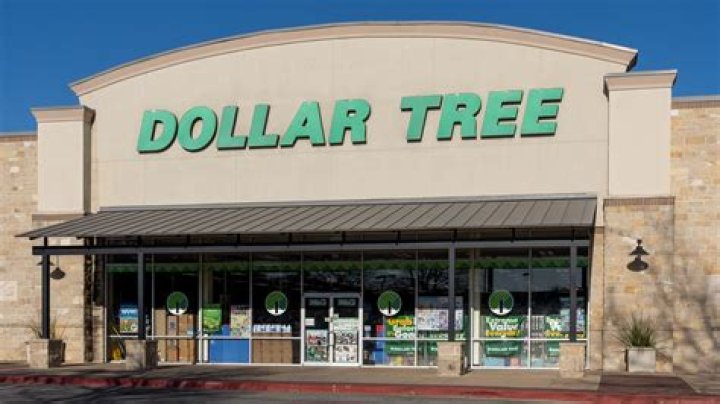 Dollar Tree Expert Shares the 7 Best New Buys for March: "So Many Good Finds"