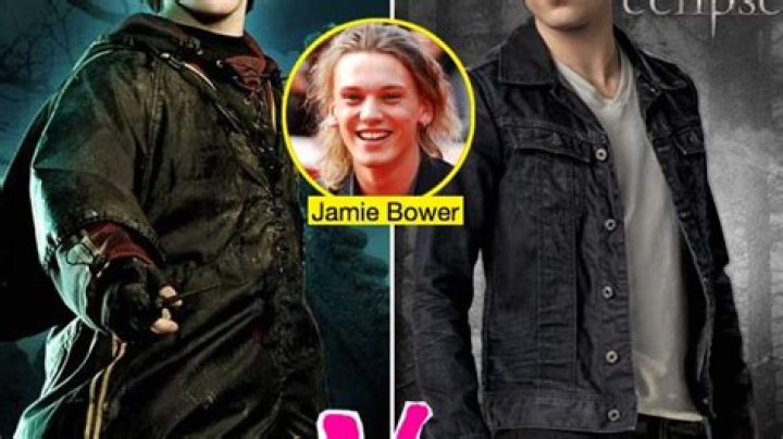 Who Do You Think Would Win In A Fight? Vote! – Hollywood Life