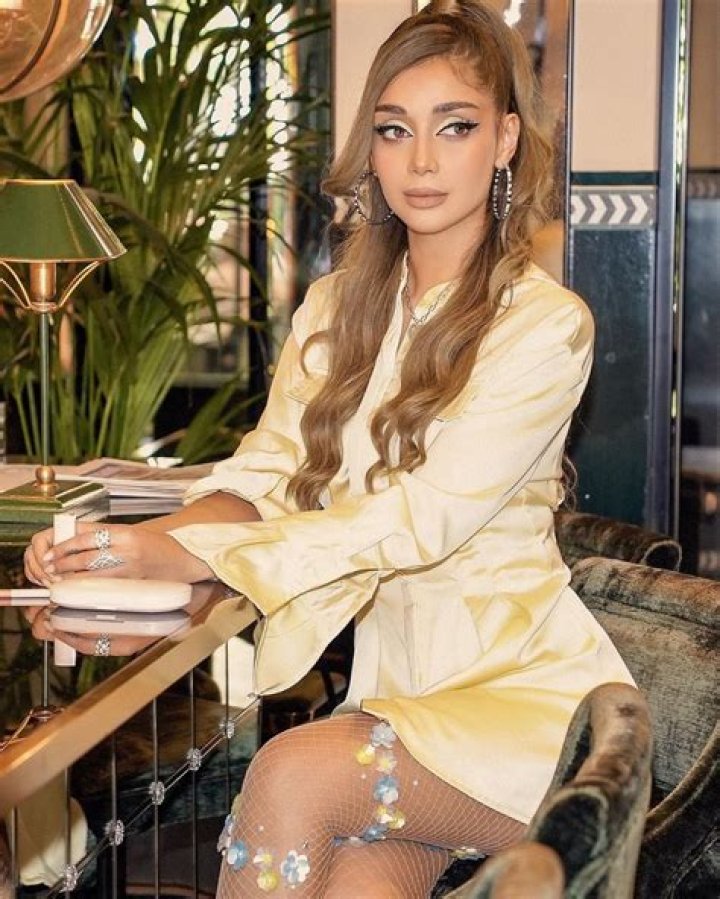 Elnaz Golrokh - Bio, Age, Wiki, Facts and Family