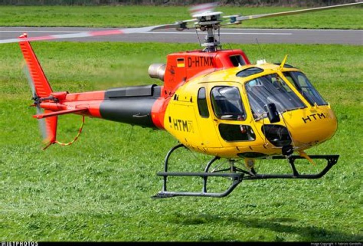 Fabrizio Aldo Belfiore - Bio, Age, Wiki, Facts and Family