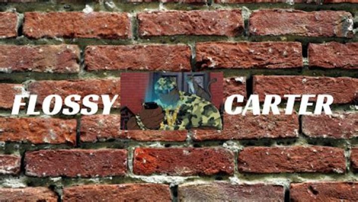 Flossy Carter - Bio, Age, Wiki, Facts and Family