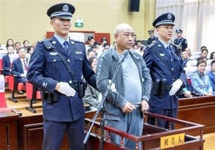 Gao Chengyong Height, Weight, Net Worth, Age, Birthday, Wikipedia, Who, Instagram, Biography