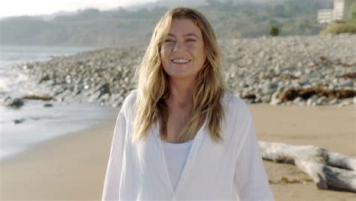 ‘Grey’s Anatomy’: The Top Theories About Who Else Is On The Beach — Lexie, George & More