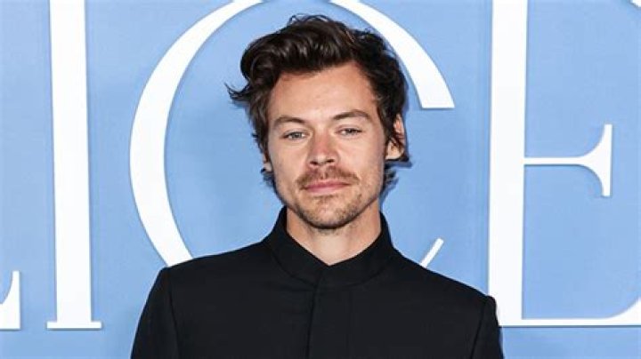 Harry Styles Debuts Buzz Cut In New Photo – Hollywood Life