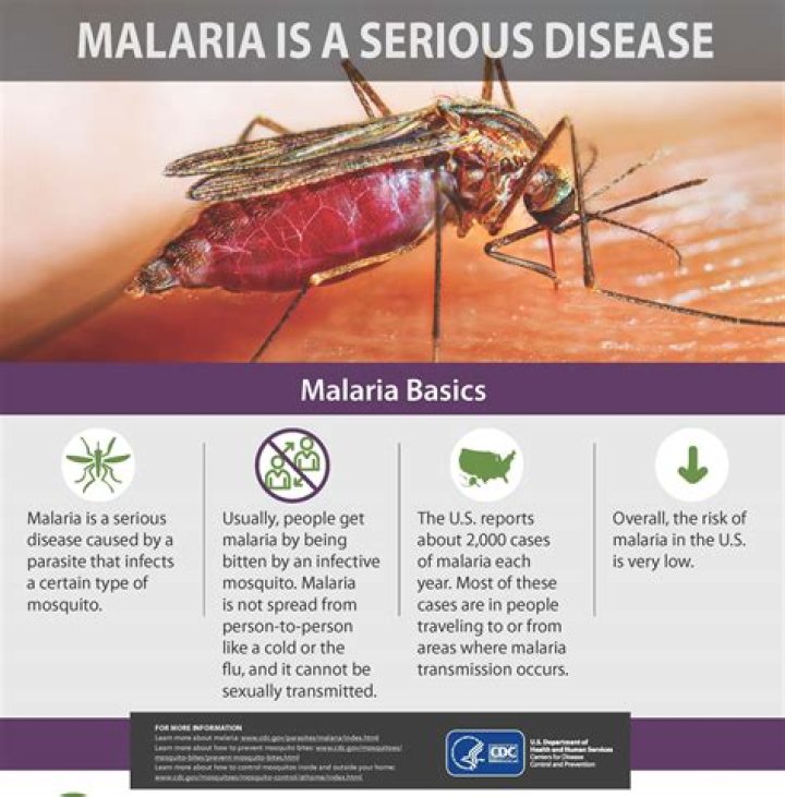 Maddox Malario - Biography, Age, Wiki, Facts and Family