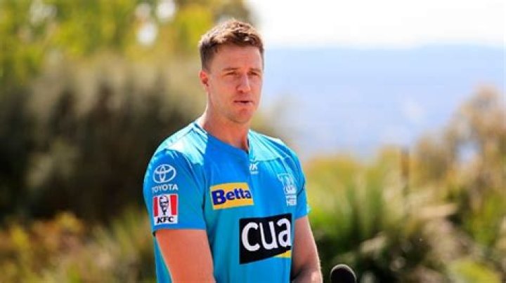 Morne Morkel - Bio, Age, weight, height, Wiki, Facts and Family