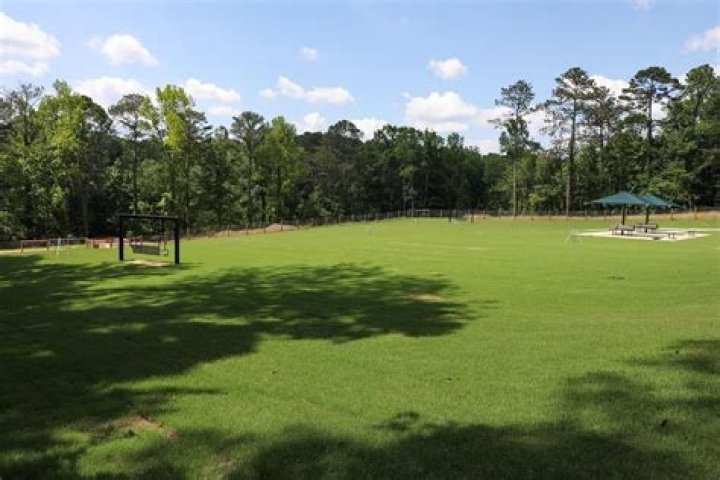 8 Things You Should Never Do at the Dog Park, Vets Say