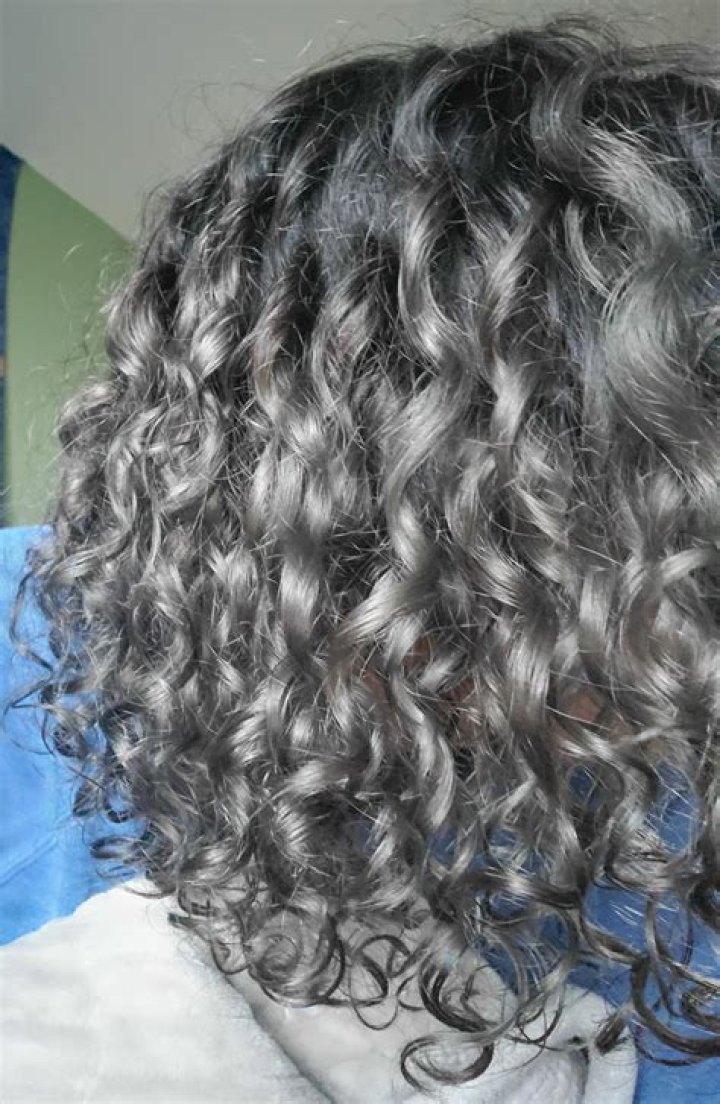 piso4 (webvideostar) - Biography, Age, Net Worth, Wikipedia, Spotify, TikTok, Facebook, Facts and Family