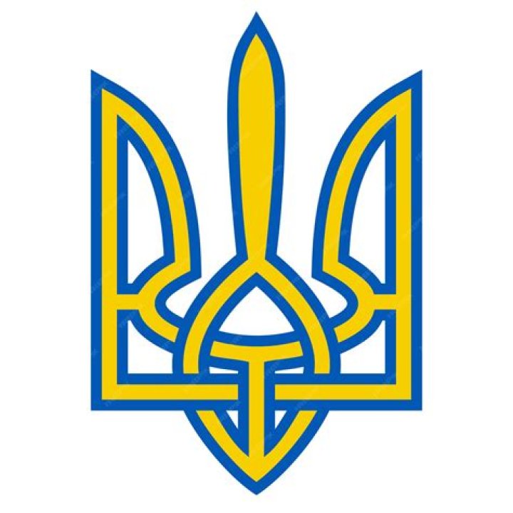 Nancy Pelosi And Politicians Wear Blue & Yellow To Support Ukraine At State of the Union