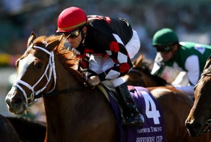 Ramon Dominguez Net Worth | Celebrity Net Worth