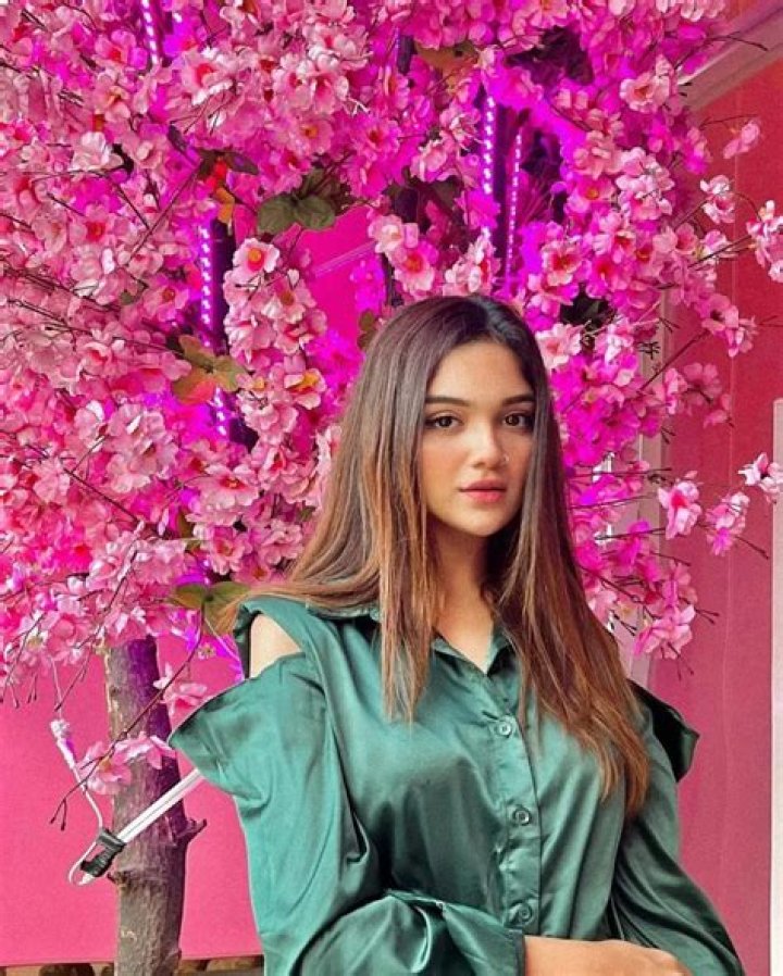 Who is Romaisa Khan ? Wikipedia,Age,Height,Weight,Real Name,Net Worth