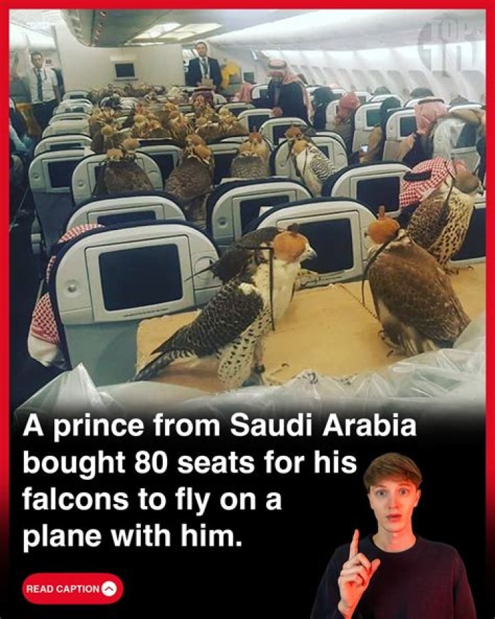 Saudi Prince Buys 80 Seats On Plane For Falcons