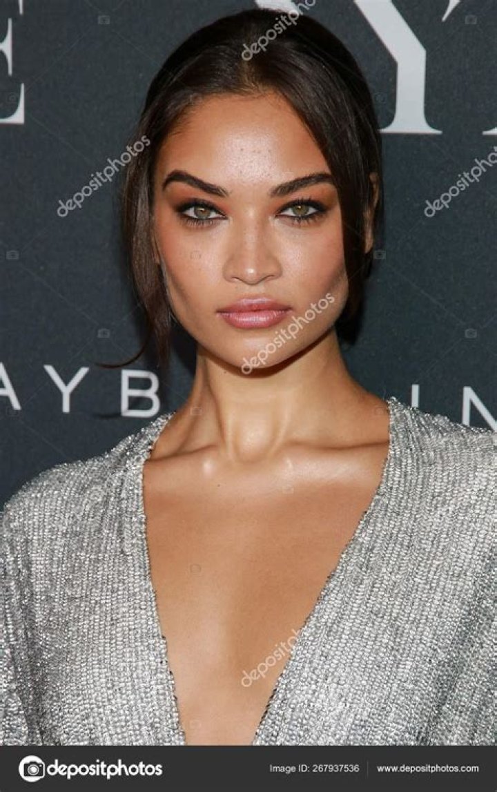 Shanina Shaik - Bio, Age, Wiki, Facts and Family