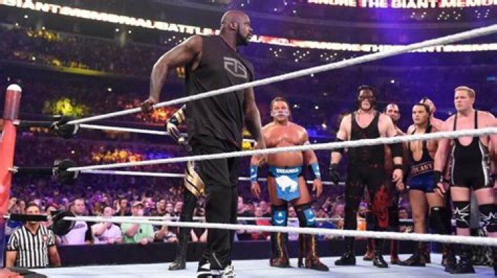 Shaquille O’Neal Makes WWE Debut — How Did He Do At WrestleMania 32? – Hollywood Life