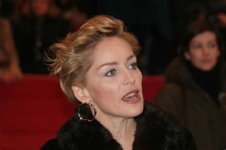 The Real Reason Sharon Stone Says She Was Blacklisted by Hollywood in the '90s