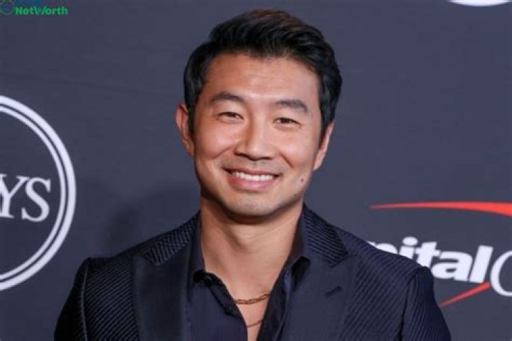 Simu Liu Net Worth | Celebrity Net Worth