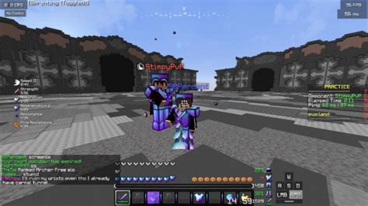 StimpyPvP - Bio, Age, Wiki, Facts and Family