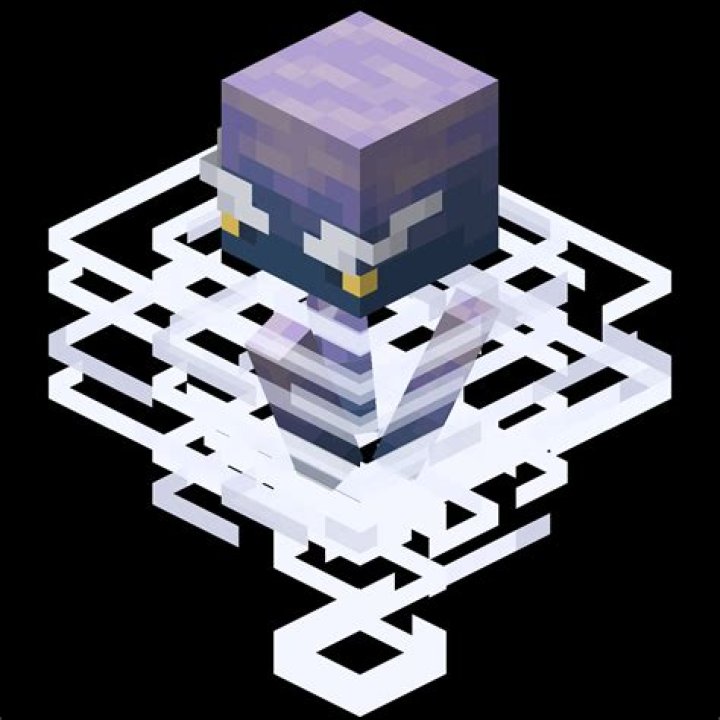 TJ Breese - Biography, Age, Wiki, Facts and Family