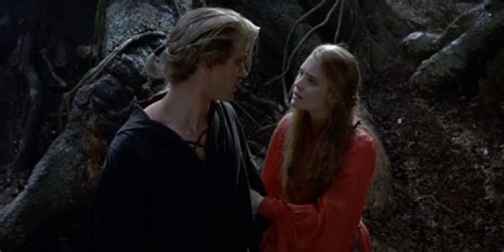 See Westley and Buttercup From "The Princess Bride" Now
