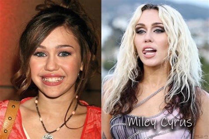 What Did Miley Cyrus Do Before She Was Famous?