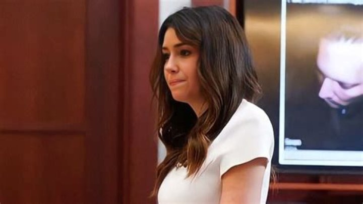 5 Things To Know About Johnny Depp’s Lawyer – Hollywood Life