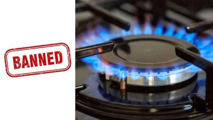 
Why is US considering banning Gas Stoves? Health fears explored 