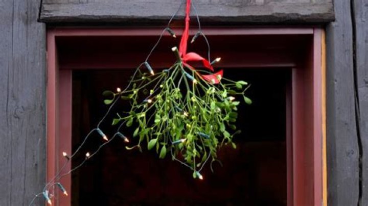 This Is the History of Why We Hang a Mistletoe at Christmas
