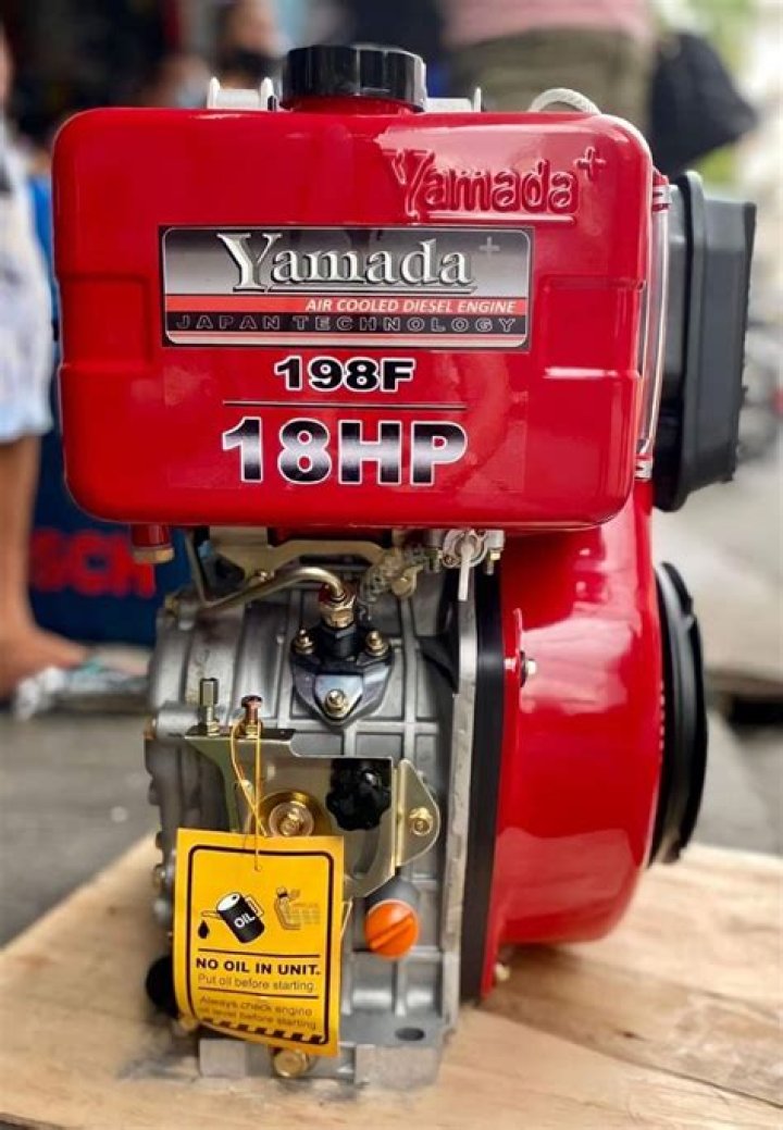 Yamada (webvideostar)-Wiki, Age, Net Worth, Biography , Spotify, TikTok, Facebook, Facts and Family