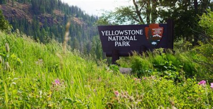 Yellowstone National Park Rangers Urge Caution Near This "Unpredictable" Threat